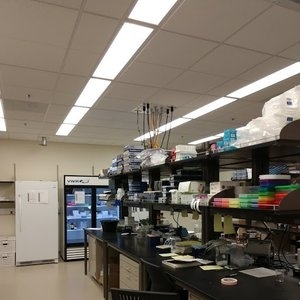 Research Labs